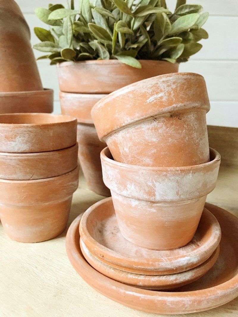 What Are Terracotta Pots