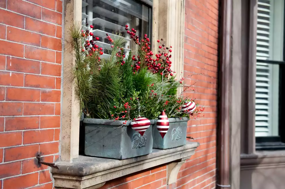 Window Boxes