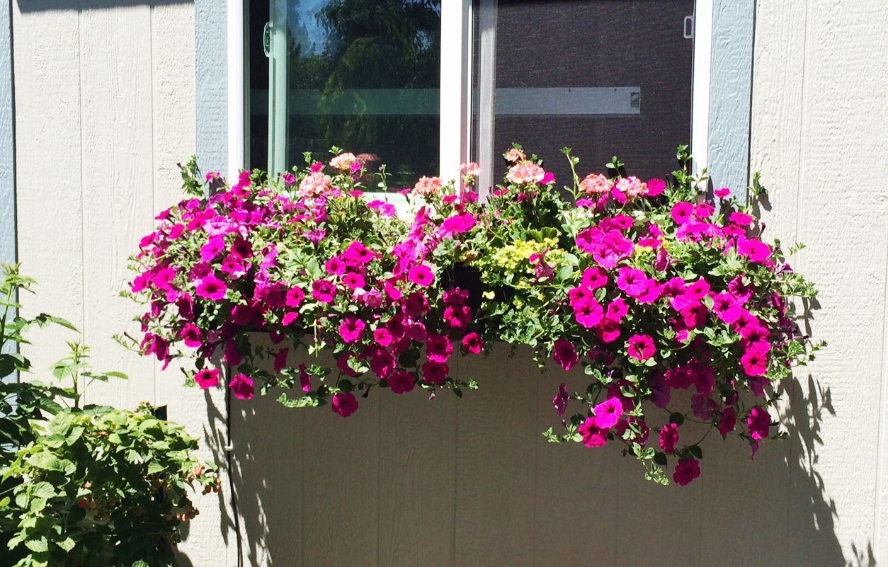 Window box planters diy