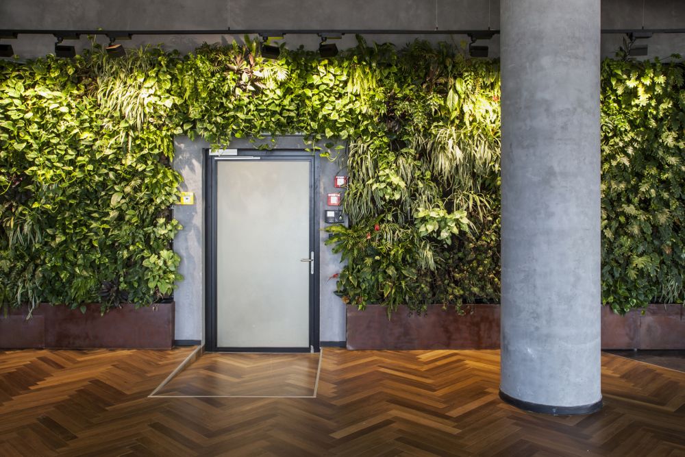 Windward Offices – Tel Aviv Green Walls