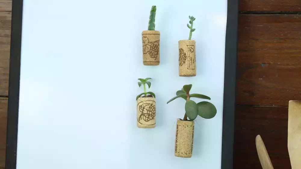 Wine corks into planters