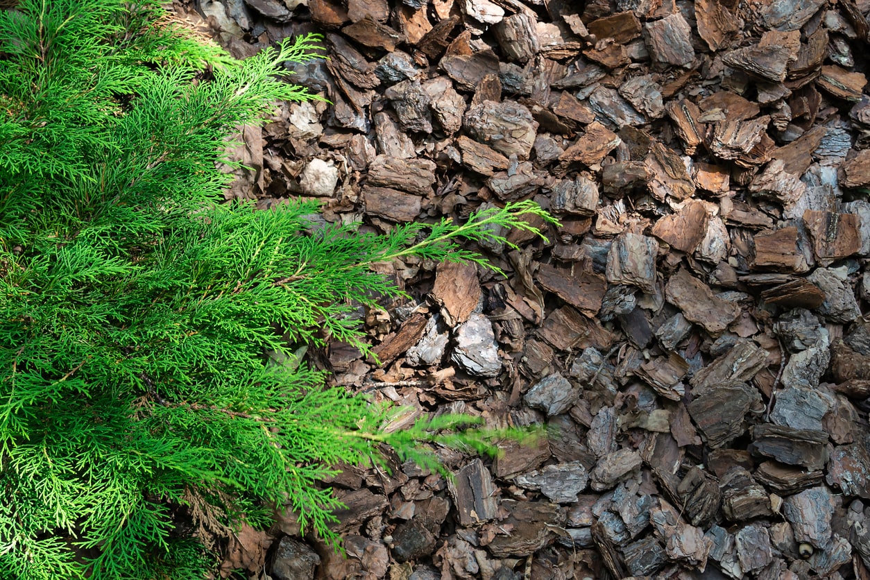 Wood Mulch