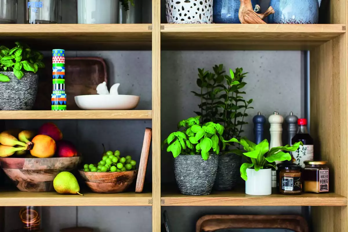 Wood open shelves EuroCucina Linee Kitchen design from Team7