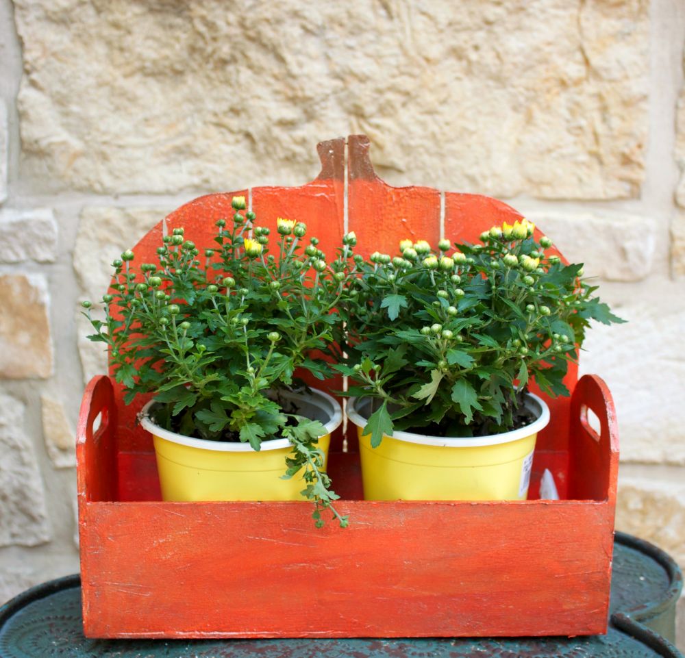 Pumpkin-Inspired Planter Box