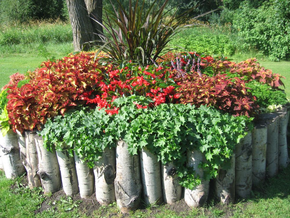 Wood stumps used to create a flower bed