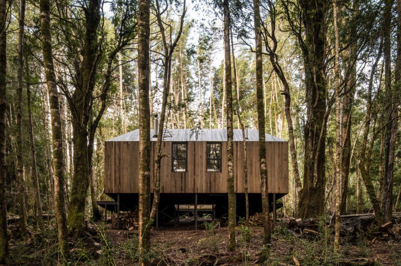 Wooden cabin on a remote site in the woods trees