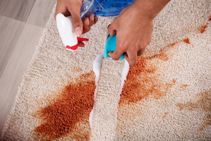 Wool Area Rugs Cleaning