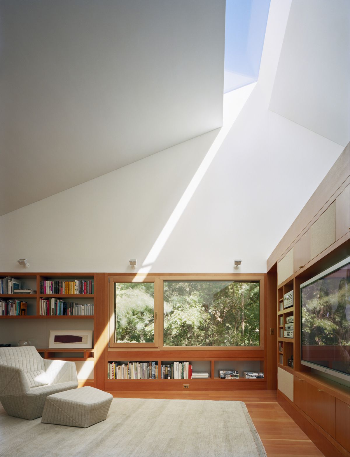 Writing Studio into the Forest Skylight