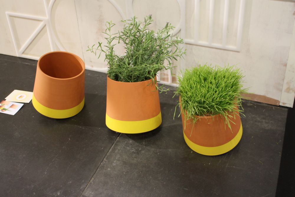 Yellow small planters