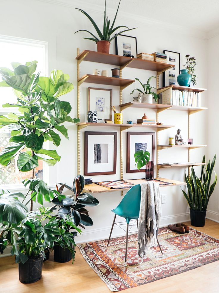 add plants for your workspace area