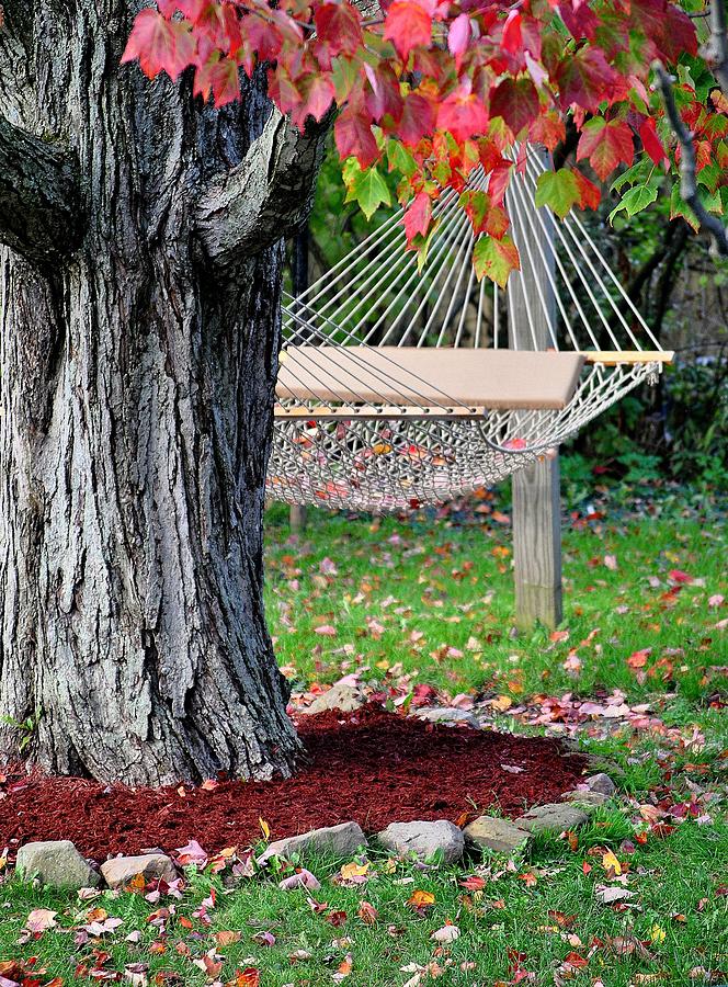 Backyard hammock hang it in backyard