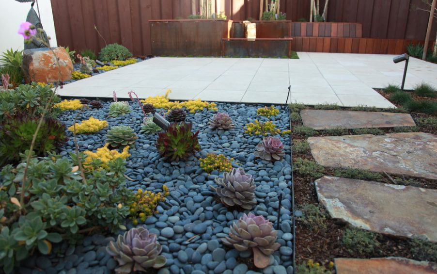 Backyard landscape succulent arrangements