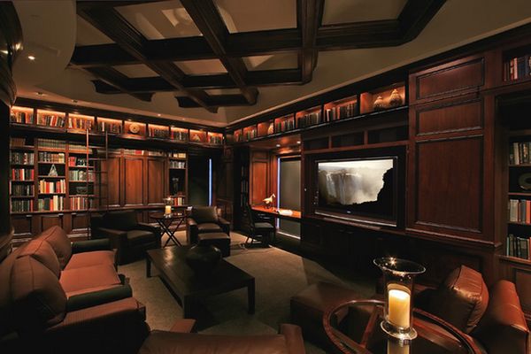 Basement media room and home library