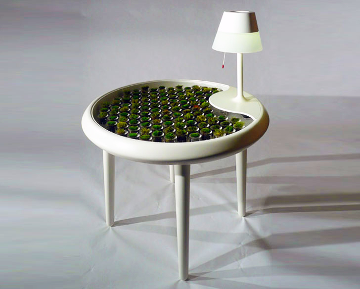 biophotovoltaic moss table