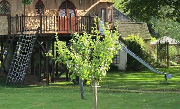 Blue forests treehouse office5