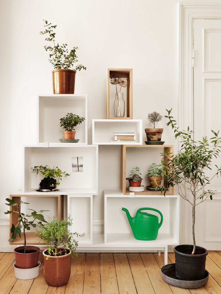 Box shelving to make vertical garden