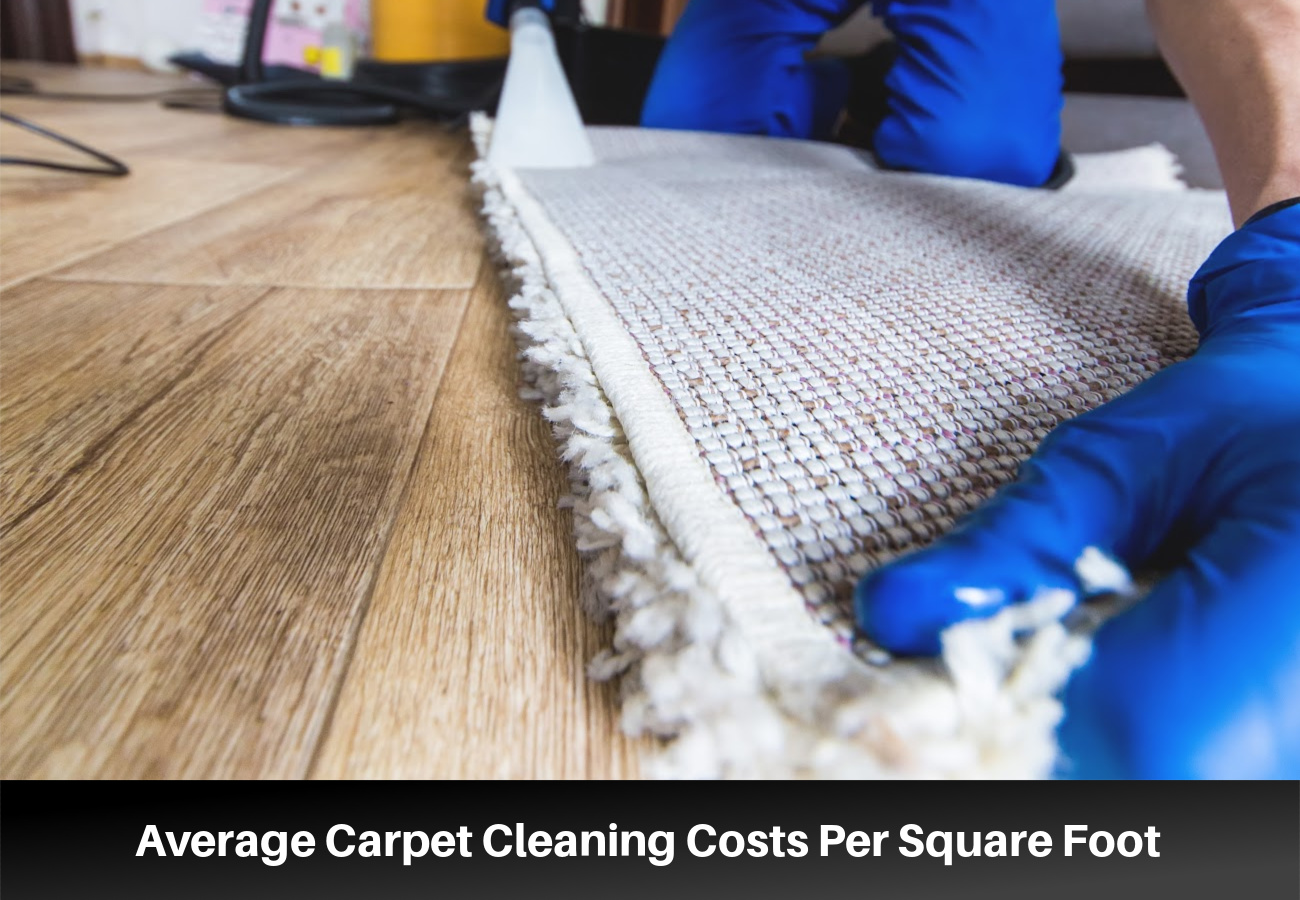 Carpet Cleaning Costs: Price Per Room and Square Foot