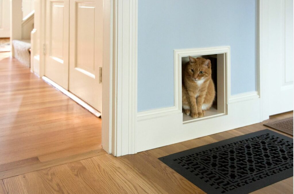 Cat in cubbyhole 1024x677