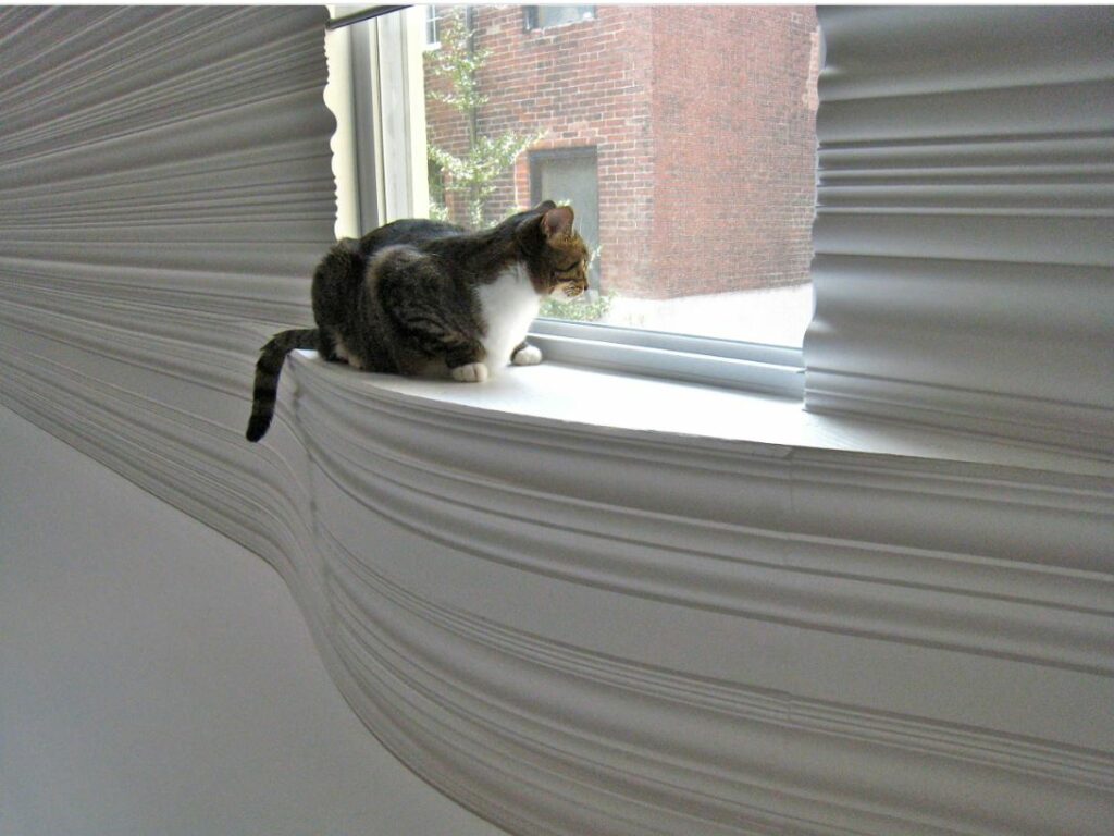 Cat on windowsill 1024x768