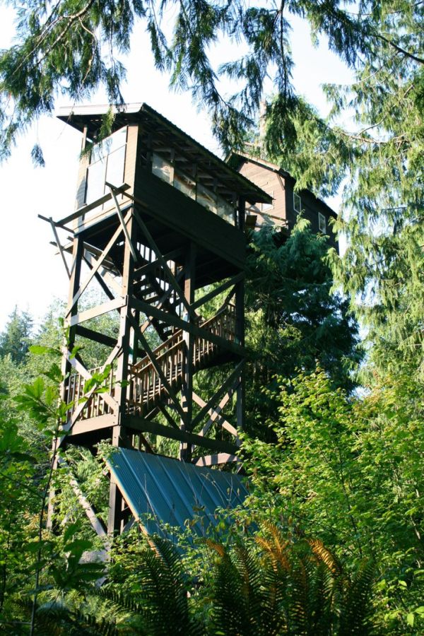 Cedar creek treehouse