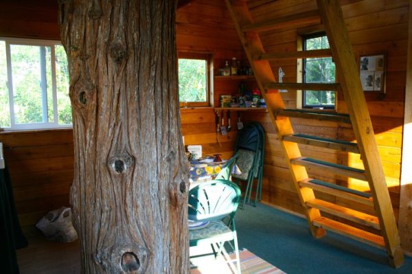 Cedar creek treehouse2