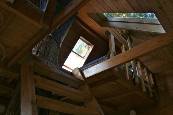 Cedar creek treehouse3