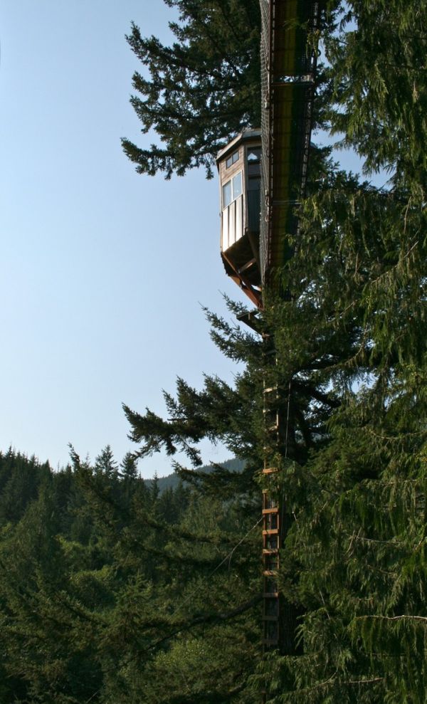 Cedar creek treehouse5