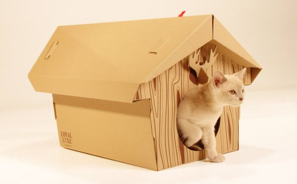 Chalet for pet