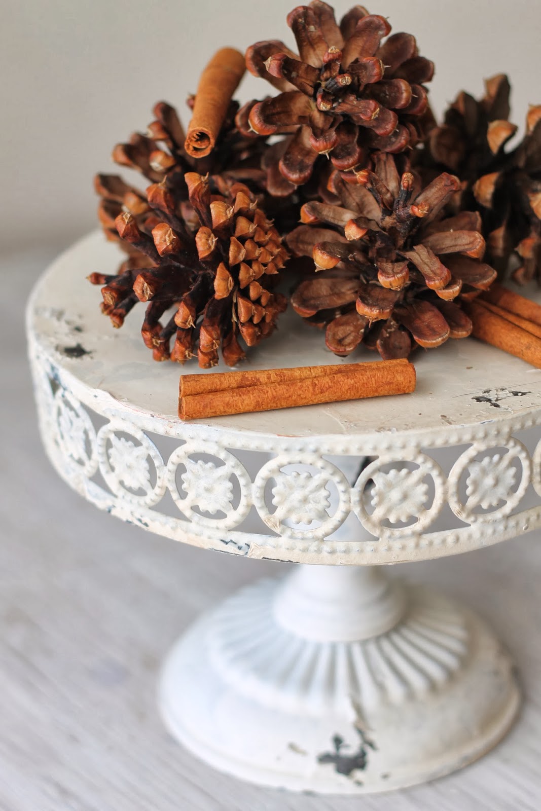 cinnamon pinecones essential oils