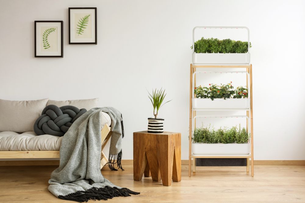 Click and grow plant stand lifestyle