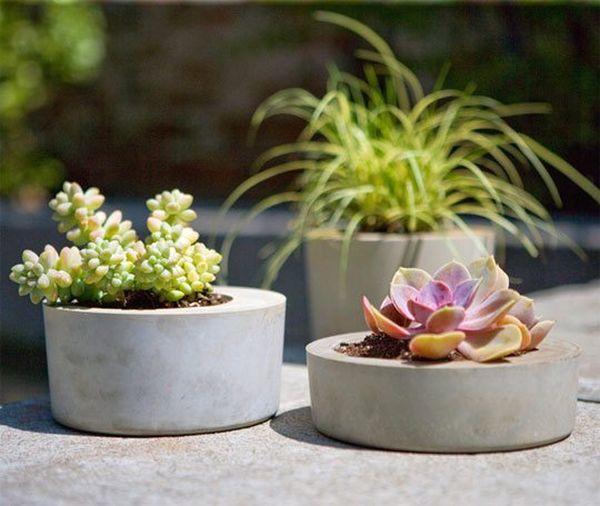 Cocnrete planters