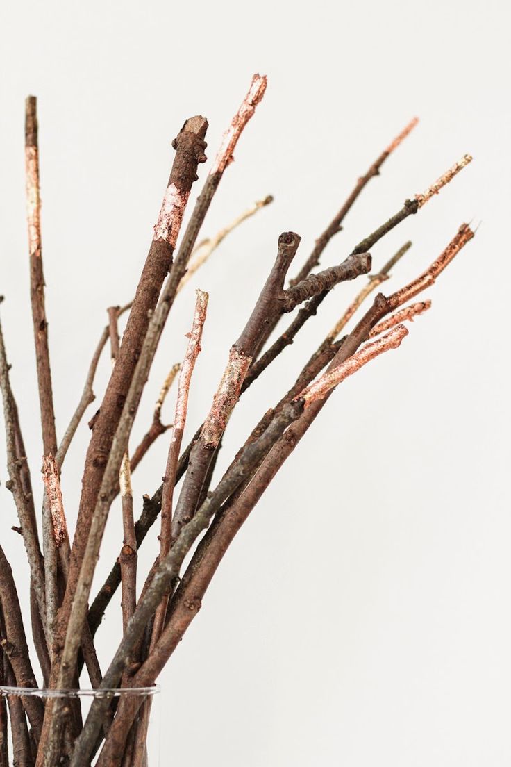 copper leaf sticks