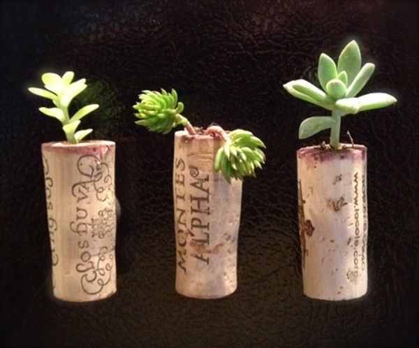Cork garden