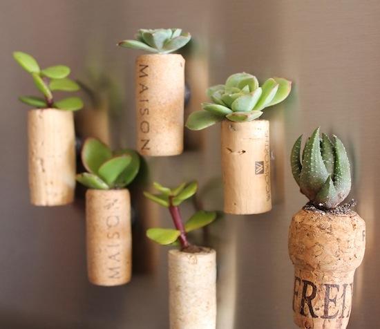 Cork succulent garden for fridge