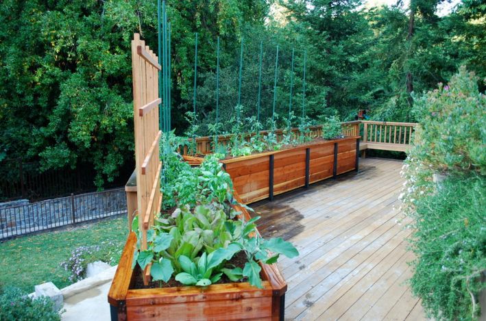 corner raised beds