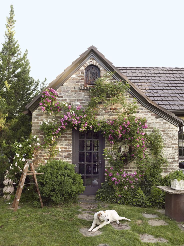 cottage climbing plants