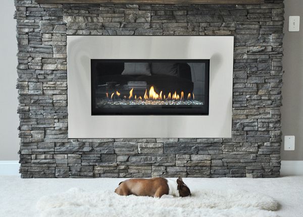 Cozy fireplace dogs love