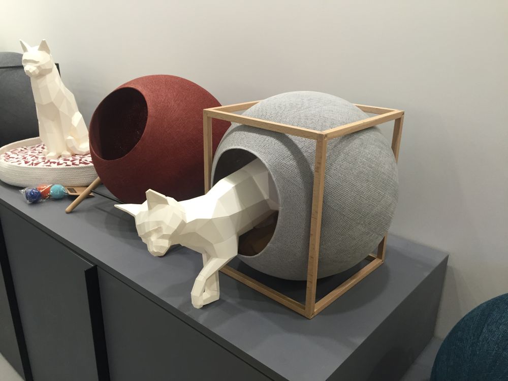 design scheme for cats