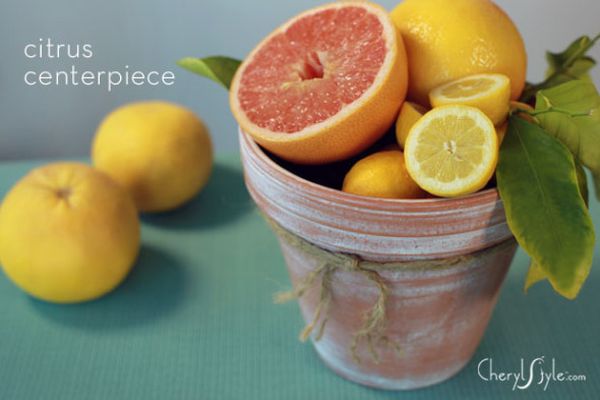 Diy citrus centerpiece cehrylstyle