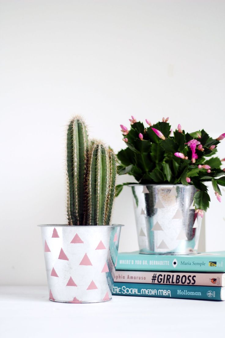 diy plant pots