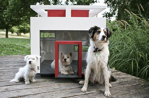 Dog mansions