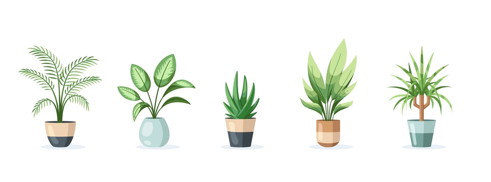 Easy House Plants For Beginners And Those Without Time