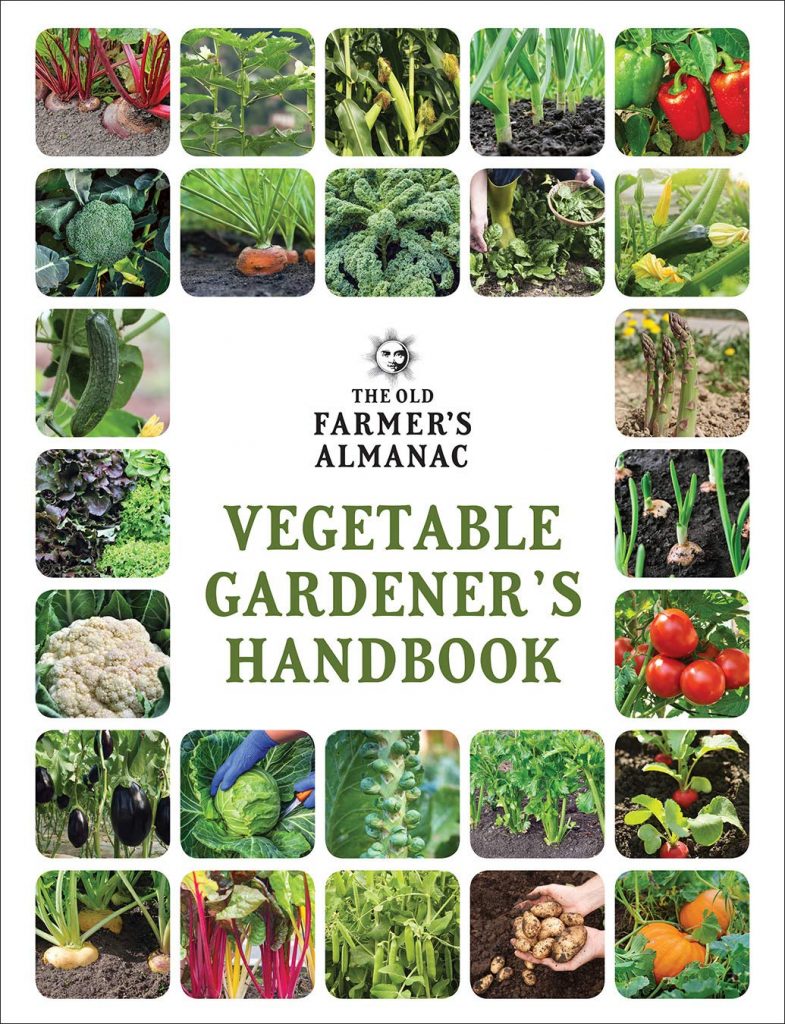 Farmers almanac vegetable gardener 785x1024