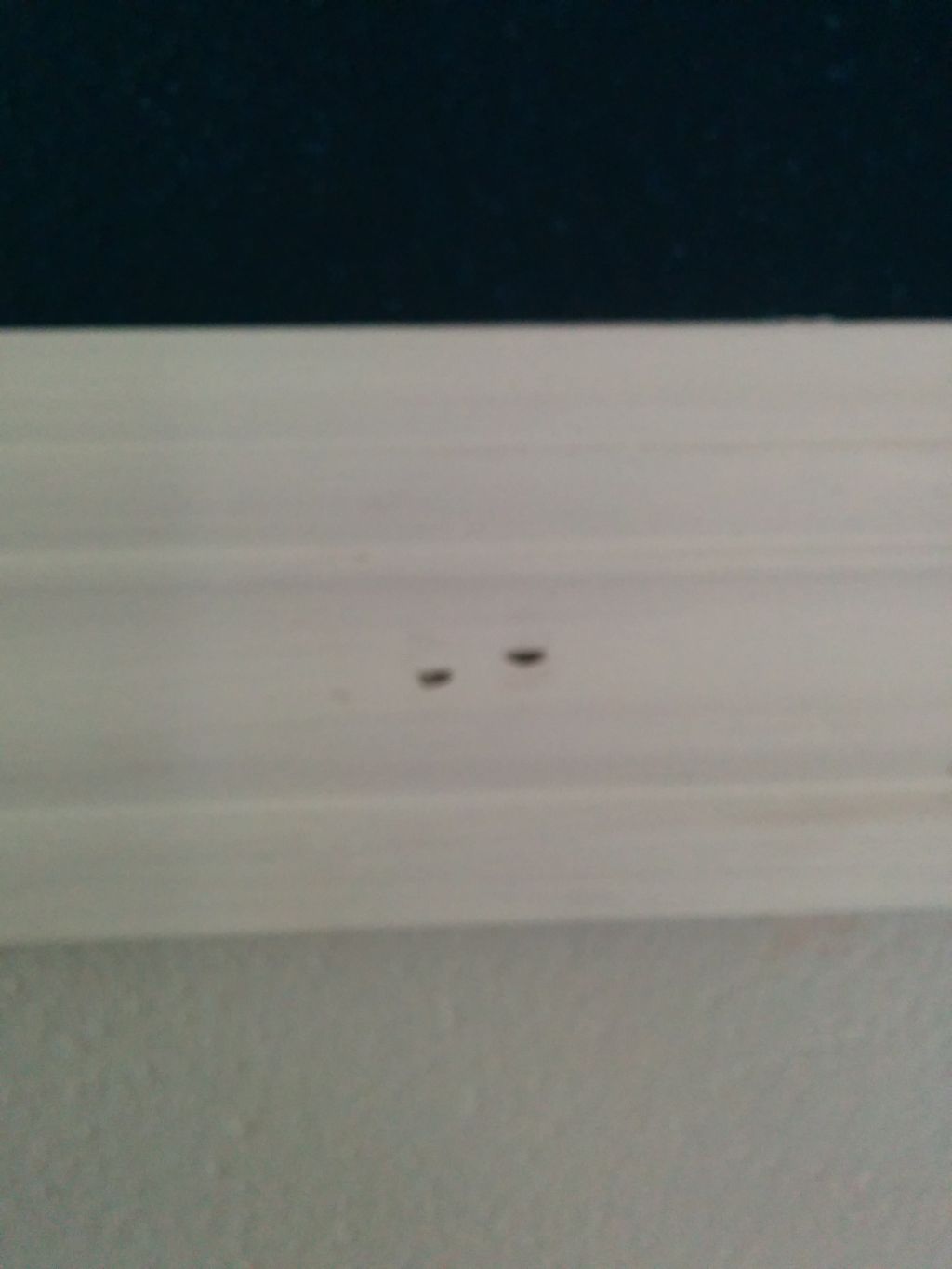 Filler nail hole wall trim 21