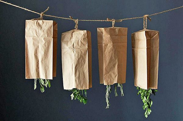 Hanging herbs for drying process
