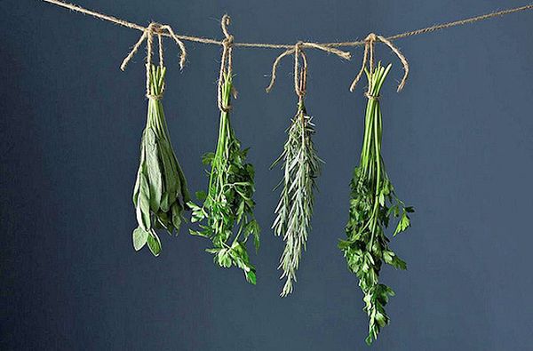 Herb drying process
