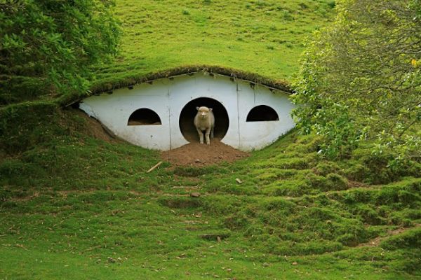 Hobbit underground house