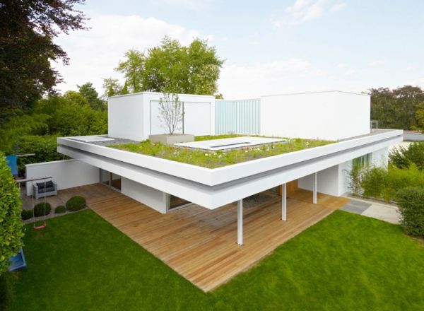 House s green roof6
