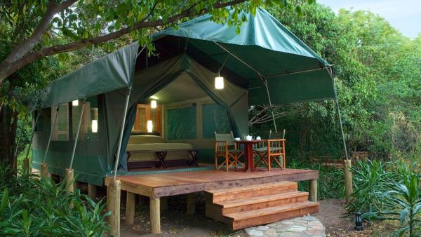 Kichwa tembo bateleur camp