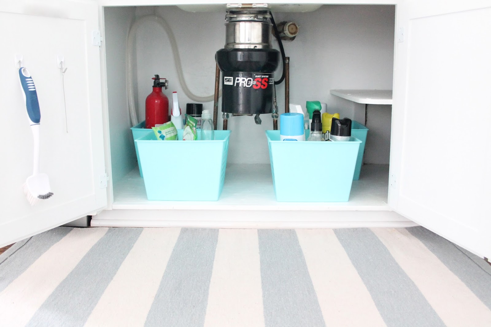 Kitchen under sink organization
